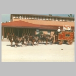 Calyope0002.jpg